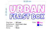 Custom Neon -  URBAN FEAST BOX - Pink and blue - 50cm x 21cm -  Delivery and Remote